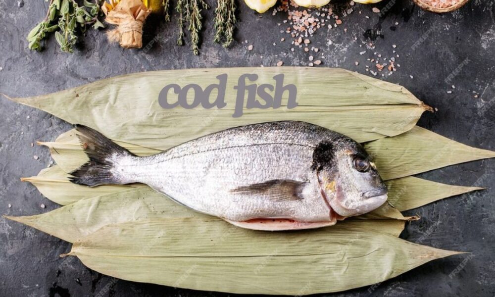 cod fish