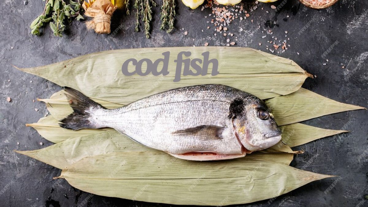 cod fish