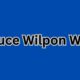 bruce wilpon wife